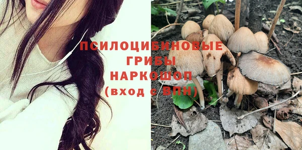 МДПВ Бугульма