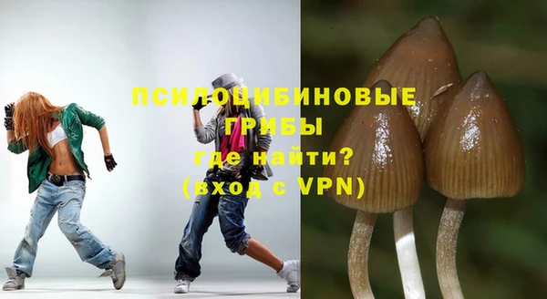 экстази Богородск