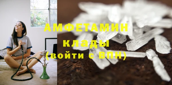 дурь Бородино