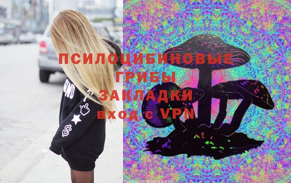 ECSTASY Бронницы