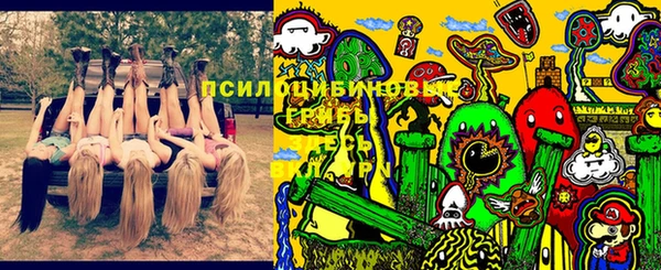 ECSTASY Бронницы