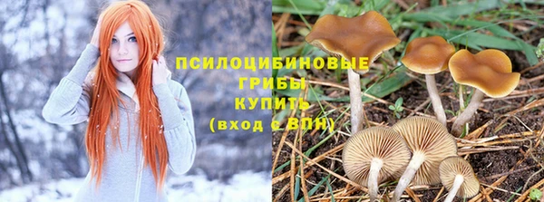 ECSTASY Бронницы