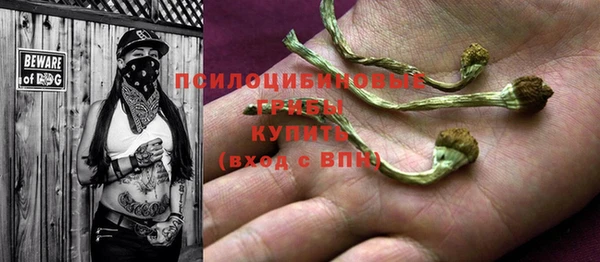 2c-b Верхнеуральск