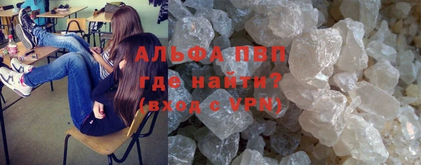 ПСИЛОЦИБИНОВЫЕ ГРИБЫ Верхний Тагил