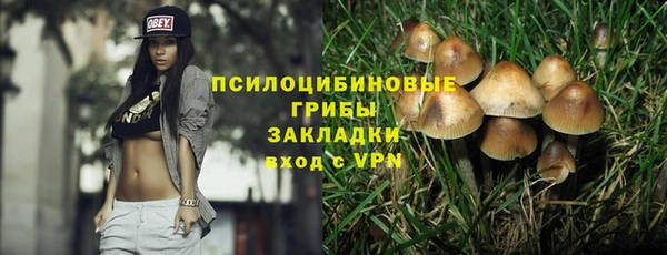 ПСИЛОЦИБИНОВЫЕ ГРИБЫ Верхний Тагил