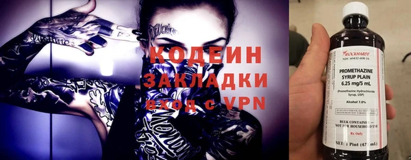 дурь Бородино