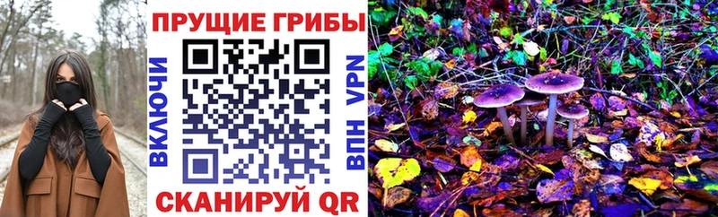 Псилоцибиновые грибы прущие грибы  ОМГ ОМГ зеркало  Безенчук 